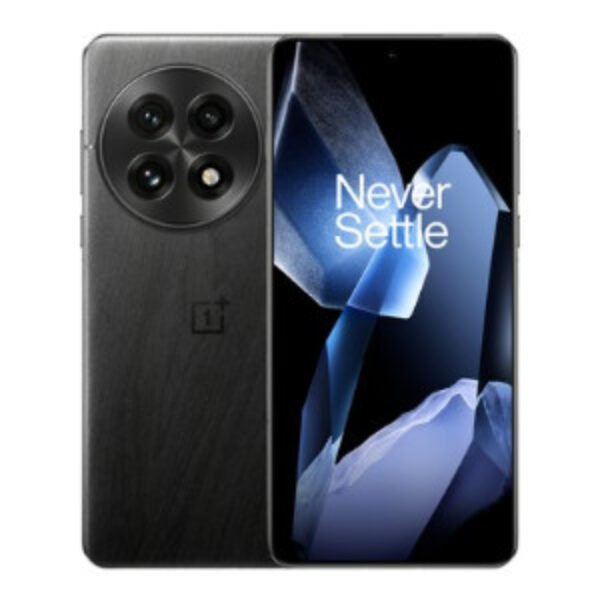 OnePlus 13